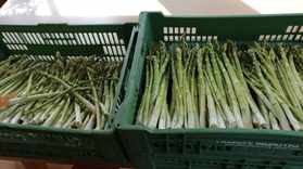 Gallery Image 01 Gallery Image 01